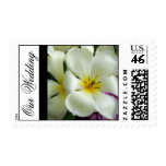 White Tropical Flower Postage Stamp
