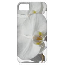 White Tropical Orchids iPhone 5 Cover
