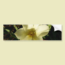 White Tulip bumper stickers