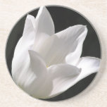 White Tulip Coaster coasters