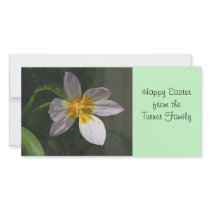 White Tulip Photo Card