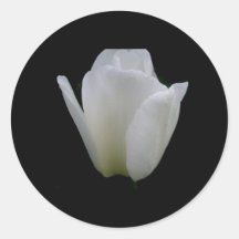 White Tulip Round Sticker