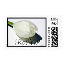 White Tulip RSVP Postage Stamp