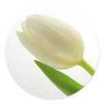 White Tulip stickers