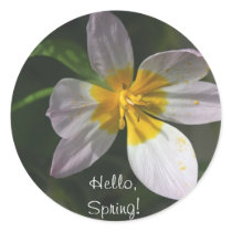 White Tulip Sticker