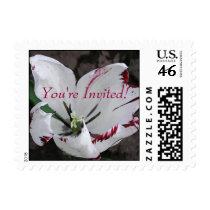 White tulip, You're Invited! Postage Stamp