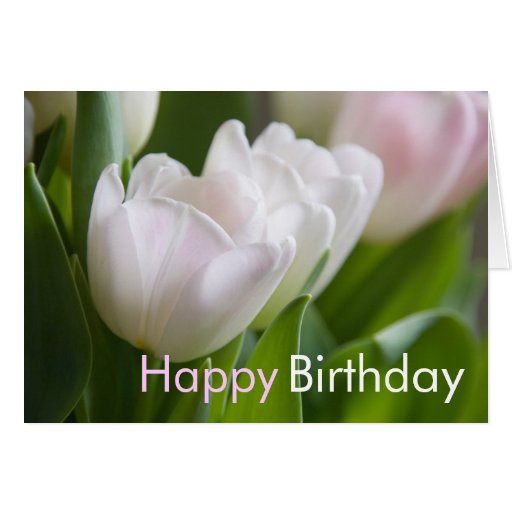 white tulips birthday greeting card