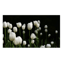 White tulips bookmark business card template