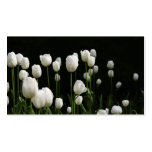 White tulips bookmark business card template