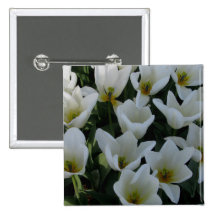 White Tulips Button
