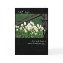 White Tulips by Anna Wight cards
