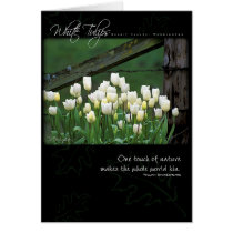 White Tulips by Anna Wight cards