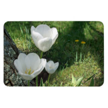 White Tulips Flower Trio Vinyl Magnet