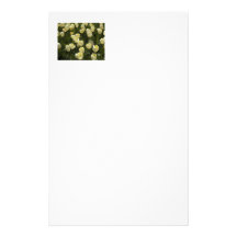 White Tulips in the Boston Gardens Custom Stationery