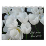 White Tulips, July 2009 - June 2010 calendars