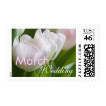 White Tulips • March Wedding Stamp by SabineStGreetings White Tulips • March Wedding Stamp
