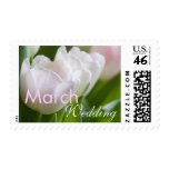 White Tulips • March Wedding Stamp