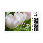 White Tulips • May Wedding Stamp