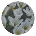 White Tulips Party Plates