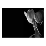White Tulips Photo On Black Background Business Cards