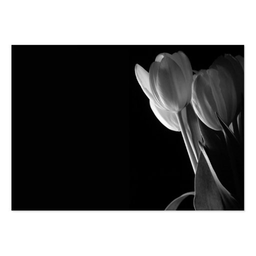 White Tulips Photo On Black Background Business Cards (front side)