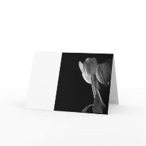 White Tulips Photo On Black Background Card