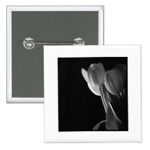 White Tulips Photo On Black Background Pins