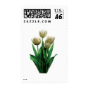 White Tulips stamp
