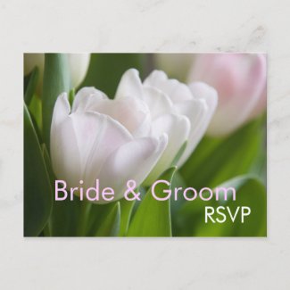 White Tulips • RSVP Postcard postcard