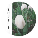 White Tulips White Tulips