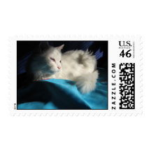 white turkish angora postage stamp