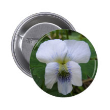 White Violet ~ button
