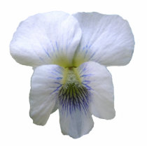 White Violet ~ ornament photo sculptures