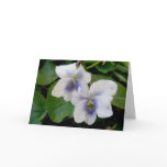 White Violet Pair Note Card