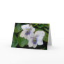 White Violet Pair Note Card