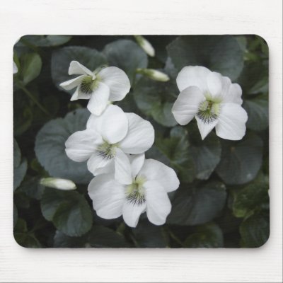 White Violets Mousepad by Willowdesign