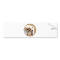 White War Horse Bumper Stickers