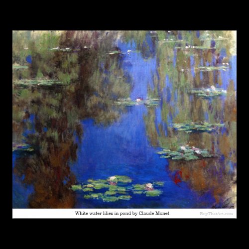 White water lilies in pond by Claude Monet Print