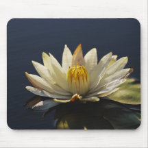 White water lilly mousemats - customizable mousepads