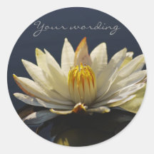 White water lilly stickers - customizable