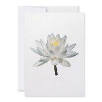 White Water Lily in Sunshine invitations