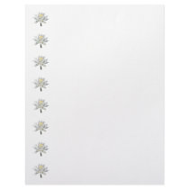 White Water Lily in Sunshine letterhead