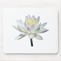 White Water Lily in Sunshine mousepads