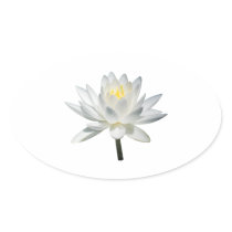 White Water Lily in Sunshine stickers