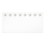 White Water Lily in Sunshine Photo Card Template