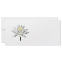 White Water Lily in Sunshine rack cards