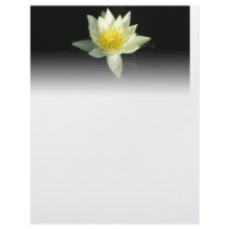 White Water Lily/Lotus Letterhead Design