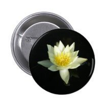 White Water Lily/Lotus buttons