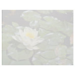 White Water Lily On Pads flowers Customized Letterhead