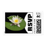 White Water Lily Pad - RSVP Postage Stamps